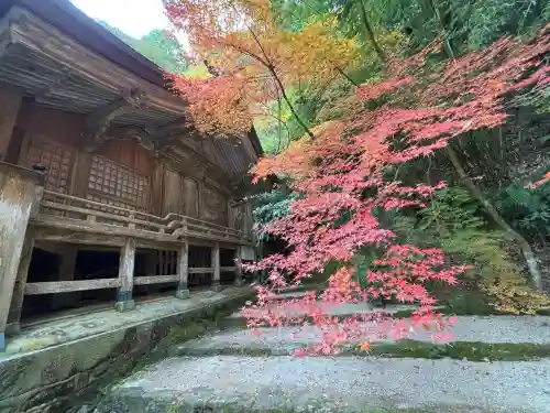 仁比山神社(佐賀県)