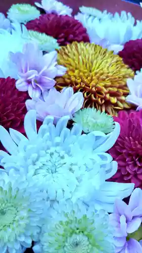 増上寺塔頭 三縁山 宝珠院(東京都)