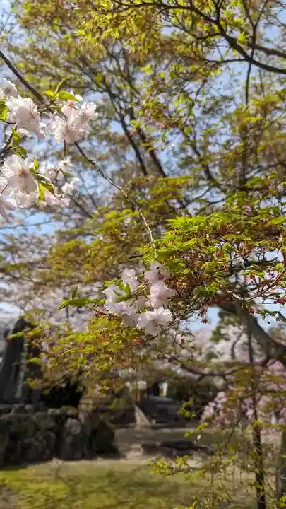 妙顯寺(妙顕寺)(京都府)