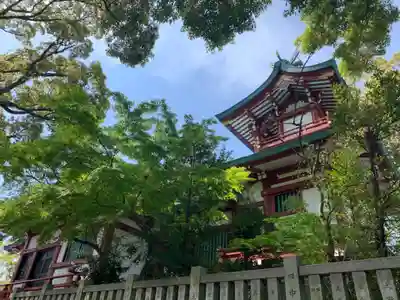 多摩川浅間神社の本殿・本堂