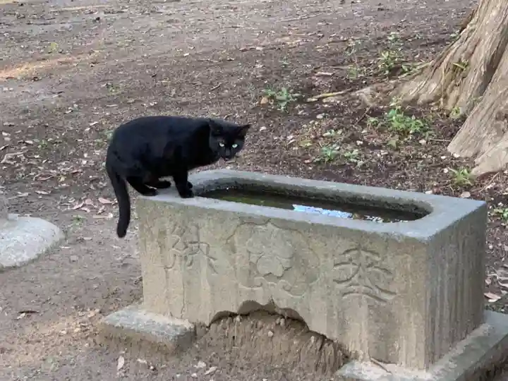 三嶋神社(千葉県)