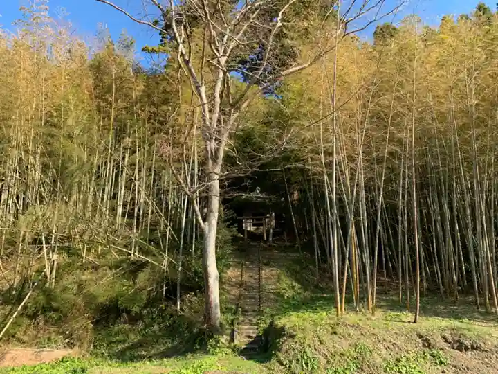 天照神社の自然