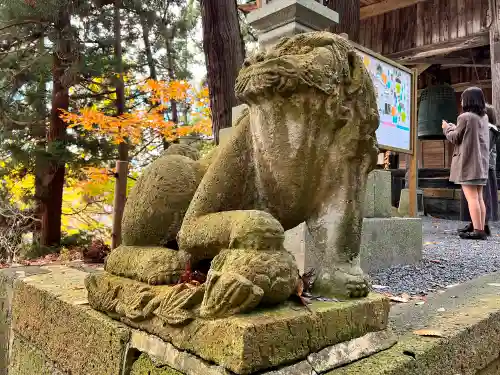 熊野大社の狛犬