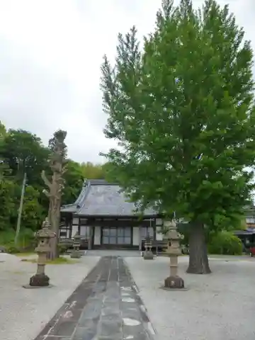 宝泉寺(山口県)