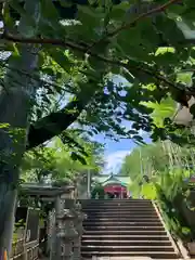 市谷亀岡八幡宮(東京都)