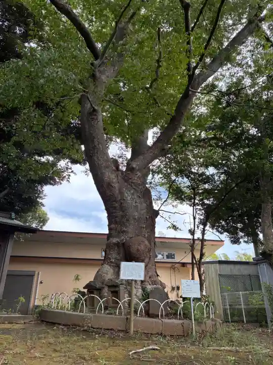 稲荷神社(千葉県)