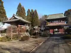 善導寺の建物その他