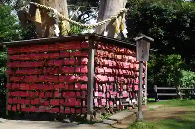 江島神社の絵馬