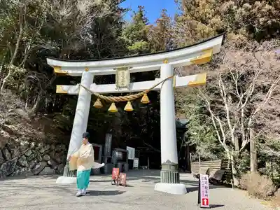 宝登山神社(埼玉県)