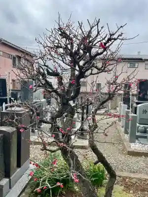 玉蔵院の{uncategorized: "未分類", other: "その他", undefined: "問題あり", building: "その他建物", grave: "お墓", sacred_gate: "鳥居", guardian: "狛犬", statue: "像", buddha: "仏像", history: "歴史", nature: "自然", garden: "庭園", animal: "動物", pagoda: "塔", temizu: "手水舎", mountain_gate: "山門・神門", sanctuary: "本殿・本堂", subordinate: "末社・摂社", art: "芸術", scenery: "景色", jizo: "地蔵", ema: "絵馬", goshuin: "御朱印", omikuji: "おみくじ", items: "授与品その他", amulet: "お守り", goshuincho: "御朱印帳", eats: "食事", festival: "お祭り", votive_dance: "神楽", shichigosan: "七五三参", wedding: "結婚式", experience: "体験その他", initially: "初詣", around: "周辺", anti_infection: "感染症対策"}
