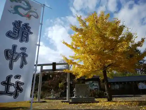 美幌神社の自然