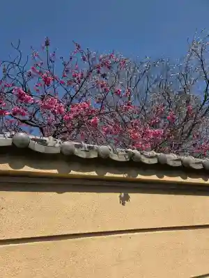 中院(埼玉県)