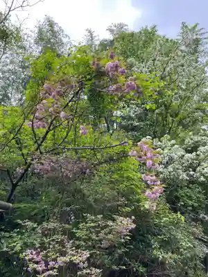 不思議不動院(京都府)