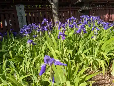 志波彦神社・鹽竈神社(宮城県)