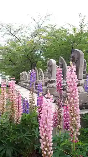 極楽山　浄土寺の仏像