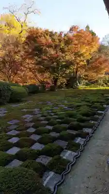 東福禅寺(東福寺)(京都府)