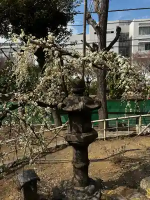 羽田神社の{uncategorized: "未分類", other: "その他", undefined: "問題あり", building: "その他建物", grave: "お墓", sacred_gate: "鳥居", guardian: "狛犬", statue: "像", buddha: "仏像", history: "歴史", nature: "自然", garden: "庭園", animal: "動物", pagoda: "塔", temizu: "手水舎", mountain_gate: "山門・神門", sanctuary: "本殿・本堂", subordinate: "末社・摂社", art: "芸術", scenery: "景色", jizo: "地蔵", ema: "絵馬", goshuin: "御朱印", omikuji: "おみくじ", items: "授与品その他", amulet: "お守り", goshuincho: "御朱印帳", eats: "食事", festival: "お祭り", votive_dance: "神楽", shichigosan: "七五三参", wedding: "結婚式", experience: "体験その他", initially: "初詣", around: "周辺", anti_infection: "感染症対策"}