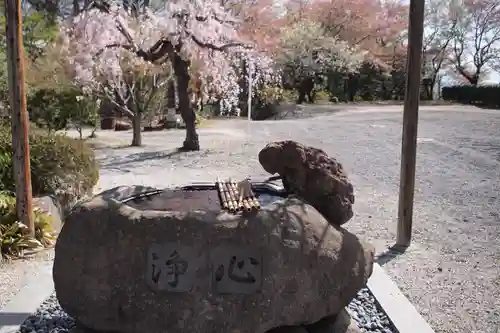 願成寺の手水舎