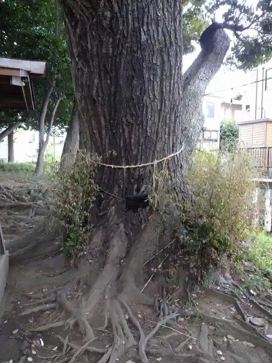 王子神社の自然