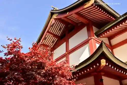 武蔵御嶽神社の本殿・本堂