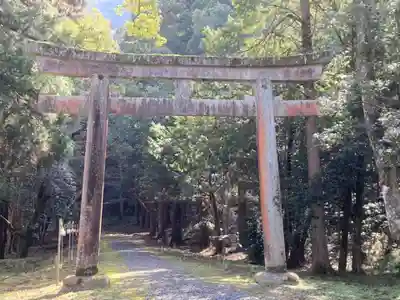 少彦名神社の鳥居