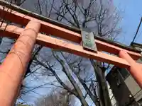 赤城神社の鳥居