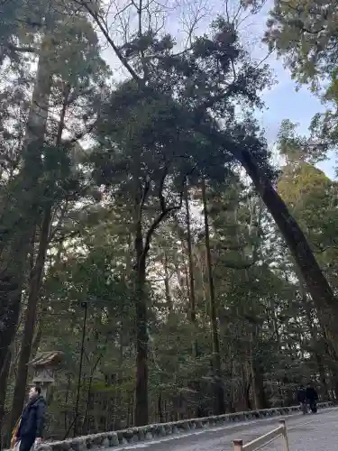 伊勢神宮内宮（皇大神宮）の{uncategorized: "未分類", other: "その他", undefined: "問題あり", building: "その他建物", grave: "お墓", sacred_gate: "鳥居", guardian: "狛犬", statue: "像", buddha: "仏像", history: "歴史", nature: "自然", garden: "庭園", animal: "動物", pagoda: "塔", temizu: "手水舎", mountain_gate: "山門・神門", sanctuary: "本殿・本堂", subordinate: "末社・摂社", art: "芸術", scenery: "景色", jizo: "地蔵", ema: "絵馬", goshuin: "御朱印", omikuji: "おみくじ", items: "授与品その他", amulet: "お守り", goshuincho: "御朱印帳", eats: "食事", festival: "お祭り", votive_dance: "神楽", shichigosan: "七五三参", wedding: "結婚式", experience: "体験その他", initially: "初詣", around: "周辺", anti_infection: "感染症対策"}