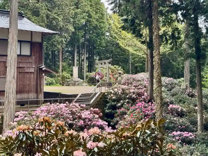 金刀比羅神社(奈良県)