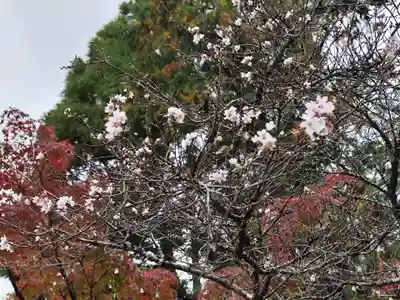 赤山禅院(京都府)