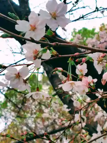 刺田比古神社(和歌山県)