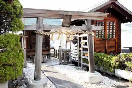藤崎えびす神社の鳥居