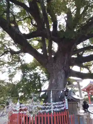 百舌鳥八幡宮(大阪府)