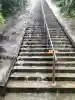 洲崎神社(千葉県)