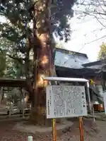 上沼八幡神社の自然