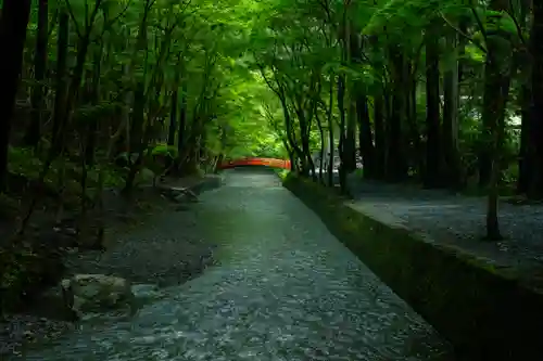 小國神社(静岡県)