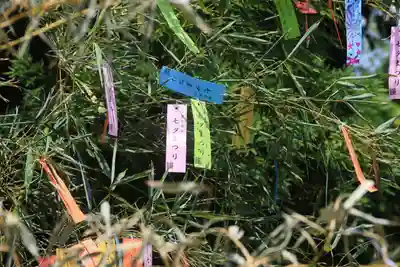 豊景神社のお祭り