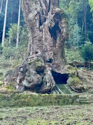 武雄神社の{uncategorized: "未分類", other: "その他", undefined: "問題あり", building: "その他建物", grave: "お墓", sacred_gate: "鳥居", guardian: "狛犬", statue: "像", buddha: "仏像", history: "歴史", nature: "自然", garden: "庭園", animal: "動物", pagoda: "塔", temizu: "手水舎", mountain_gate: "山門・神門", sanctuary: "本殿・本堂", subordinate: "末社・摂社", art: "芸術", scenery: "景色", jizo: "地蔵", ema: "絵馬", goshuin: "御朱印", omikuji: "おみくじ", items: "授与品その他", amulet: "お守り", goshuincho: "御朱印帳", eats: "食事", festival: "お祭り", votive_dance: "神楽", shichigosan: "七五三参", wedding: "結婚式", experience: "体験その他", initially: "初詣", around: "周辺", anti_infection: "感染症対策"}