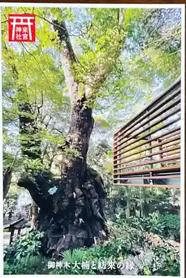 來宮神社(静岡県)