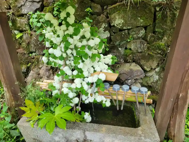 神藏寺(京都府)