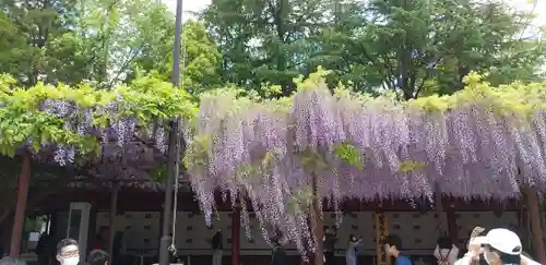 笠間稲荷神社の庭園