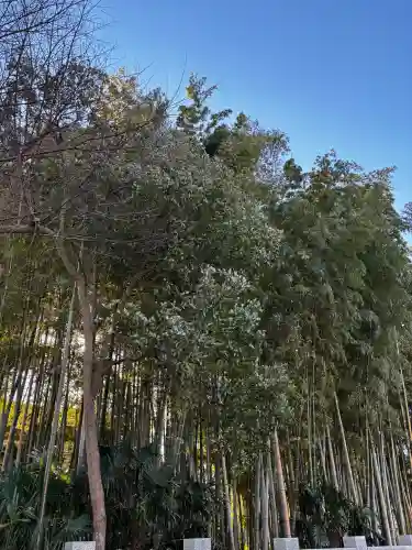 不知森神社の{uncategorized: "未分類", other: "その他", undefined: "問題あり", building: "その他建物", grave: "お墓", sacred_gate: "鳥居", guardian: "狛犬", statue: "像", buddha: "仏像", history: "歴史", nature: "自然", garden: "庭園", animal: "動物", pagoda: "塔", temizu: "手水舎", mountain_gate: "山門・神門", sanctuary: "本殿・本堂", subordinate: "末社・摂社", art: "芸術", scenery: "景色", jizo: "地蔵", ema: "絵馬", goshuin: "御朱印", omikuji: "おみくじ", items: "授与品その他", amulet: "お守り", goshuincho: "御朱印帳", eats: "食事", festival: "お祭り", votive_dance: "神楽", shichigosan: "七五三参", wedding: "結婚式", experience: "体験その他", initially: "初詣", around: "周辺", anti_infection: "感染症対策"}