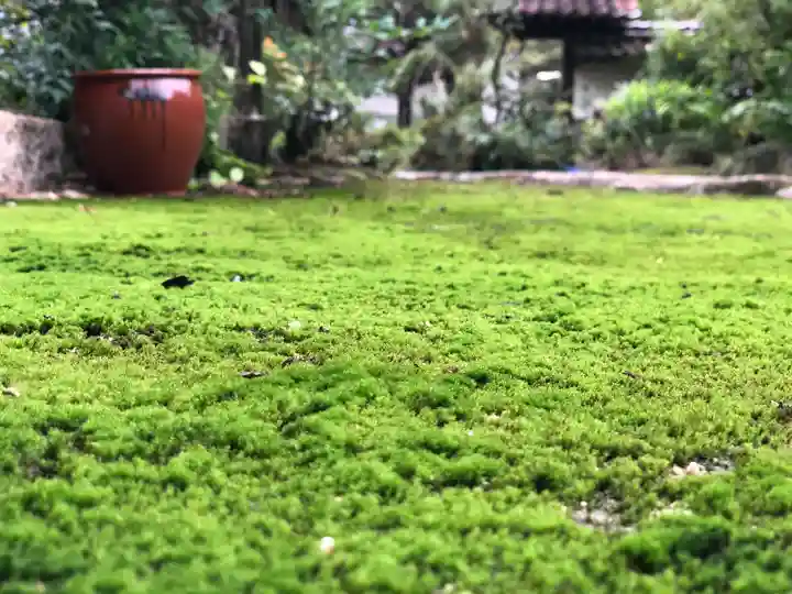 木舟山 順教寺の自然