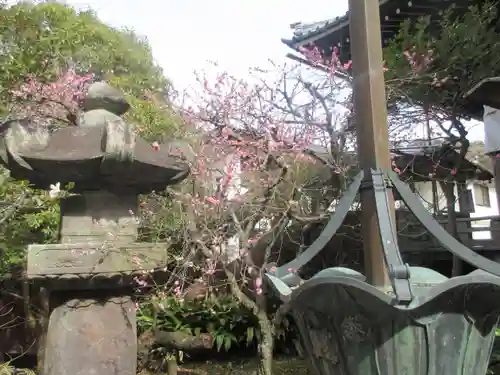 安國論寺（安国論寺）の景色