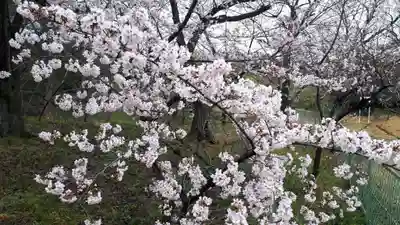 冥応寺(大阪府)