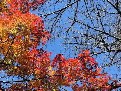 霊山寺の{uncategorized: "未分類", other: "その他", undefined: "問題あり", building: "その他建物", grave: "お墓", sacred_gate: "鳥居", guardian: "狛犬", statue: "像", buddha: "仏像", history: "歴史", nature: "自然", garden: "庭園", animal: "動物", pagoda: "塔", temizu: "手水舎", mountain_gate: "山門・神門", sanctuary: "本殿・本堂", subordinate: "末社・摂社", art: "芸術", scenery: "景色", jizo: "地蔵", ema: "絵馬", goshuin: "御朱印", omikuji: "おみくじ", items: "授与品その他", amulet: "お守り", goshuincho: "御朱印帳", eats: "食事", festival: "お祭り", votive_dance: "神楽", shichigosan: "七五三参", wedding: "結婚式", experience: "体験その他", initially: "初詣", around: "周辺", anti_infection: "感染症対策"}