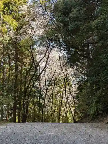 山科神社(京都府)