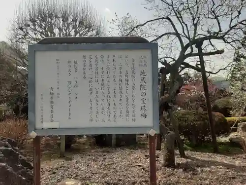 地蔵院(東京都)