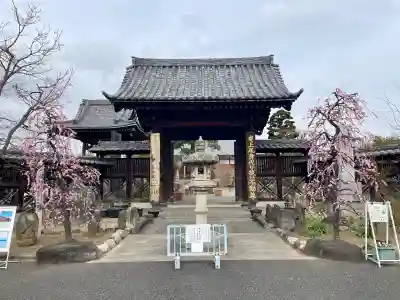 遍照院(埼玉県)