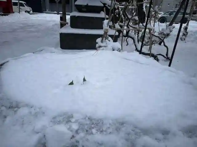彌彦神社 (伊夜日子神社)の庭園