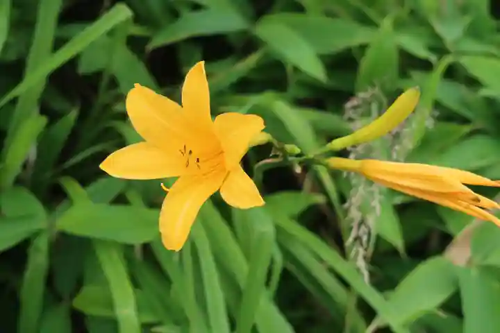 仏法紹隆寺(長野県)